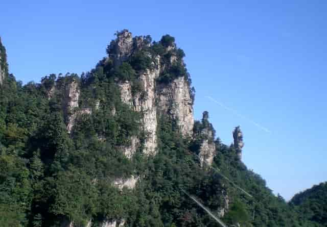 冷鲜肉批发市场在哪，水产养殖要注意什么，香鱼销路怎么样